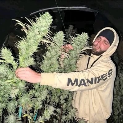 JaySmithyl's profile picture. Life Long Dedication To Cannabis/Mushroom. An Advocate,Licensed Grower, Supplier & health Consultant Of Cannabis/psychedelics Research. $CANA #Shrooms🪴🍄‍🟫🧬