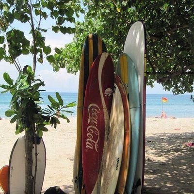 snakesurfers's profile picture. 