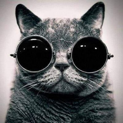 pinkcornertoped's profile picture. Buyer is our partner