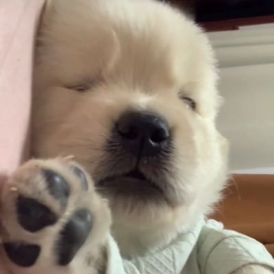 ahpuhhahpuhh's profile picture. 나는 좋은 사람입니다 나를 괴롭히면 지옥에 가게 될 것입니다