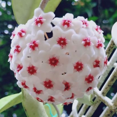 h42XgTjodP35807's profile picture. 