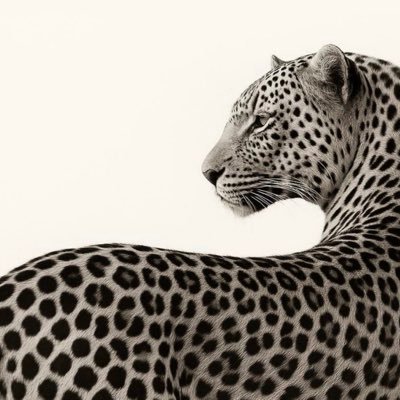 jul3slikesyou's profile picture. 