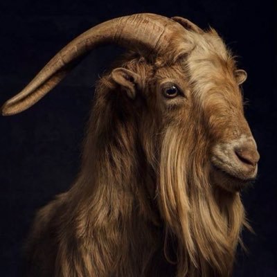 sbo_inc's profile picture. 