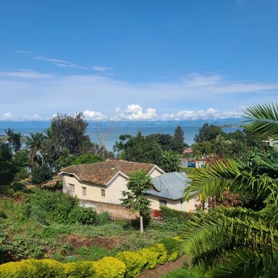 iam_stability's profile picture. Computer Lingual(BSc CS) • Cars+Car Tech • Lifestyle • Money Markets • Simplicity • @VipersSC & @ChelseaFC - #ANewUgandaNOW