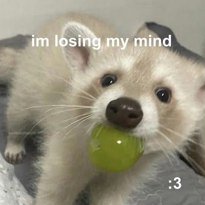 Arwen1143519's profile picture. 