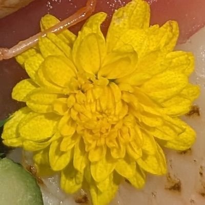 Yaberoquai's profile picture. アラフォーのおじさん。なんでも呟きます。無言フォロー、フォロ解、ブロック大歓迎。鍵 @Yaberoquai3