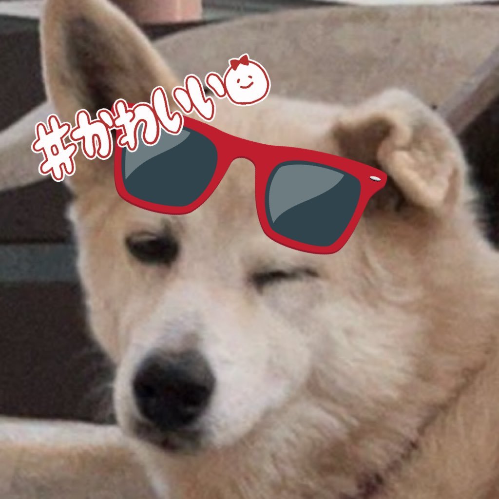 tumetainabe888's profile picture. 太鼓の達人世界一決定戦2024ファイナリスト /闘神祭2020ファイナリスト/ドンだー！世界一決定戦2021外伝 優勝🏆/iwagon杯団体戦"優勝"/2020,24達人/佐城雪美担当P/ラブライブ! 亜里沙推し