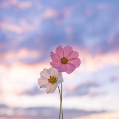 uuser_783's profile picture. !^ Moon lover | 🫂 | كل تأخيرة فيها خيرة