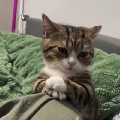 19xashish's profile picture. Cricket, Politics, tech, watches, songs and movies.