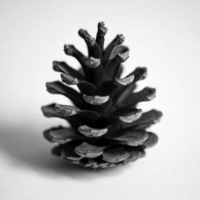 KelliLynnSage's profile picture. 🇺🇸⚔️ Saved by Christ ⚔️ 🇺🇸 Truth Seeker👁️ 🦅Free Speech absolutist and 2nd Amendment forever 👽🖖