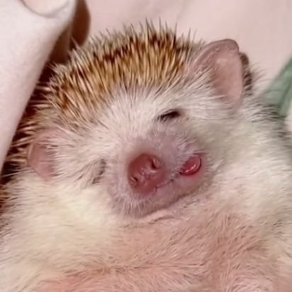 BunnyB91895's profile picture. hehe:P