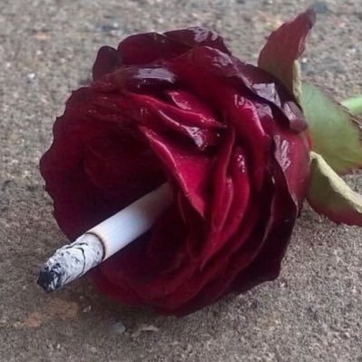 nakedlunchstuff's profile picture. HOLY BUT NAUGHTY STUFF FOR RUDE BABES.🐦‍⬛
INSTAGRAM @nakedlunchstuff