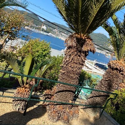 Aztya482913's profile picture. #裏垢男子