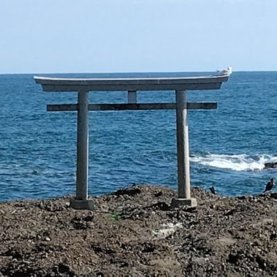 HagiwraRinto's profile picture. 日本ボーイスカウト群馬県連絡高崎地区高崎18団所属