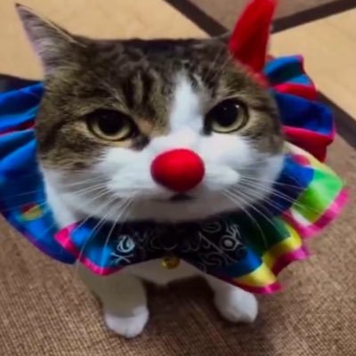 b7ccec's profile picture. Wuju style...https://x.gd/l16rs ✋🤡🤚