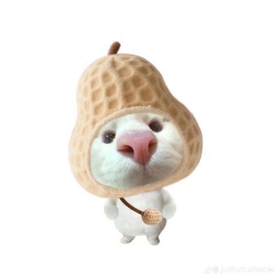 wangjeontop's profile picture. 