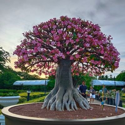 nomad_crypto111's profile picture. A private individual who used to explore the world of crypto