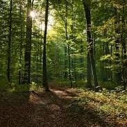 Gilvan57549477's profile picture. OI