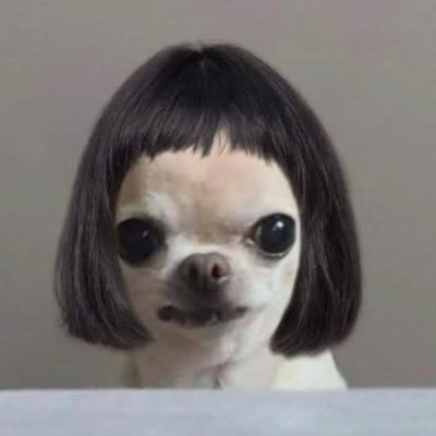 yellowjun3_'s profile picture. น้องสาวพี่จูร่างปลอม ทำไม ทำไม! ft.อิมินาสกายนานิ & ซีนซีคีน #เจ๋งแจ๋วrv 🧑🏻‍🌾