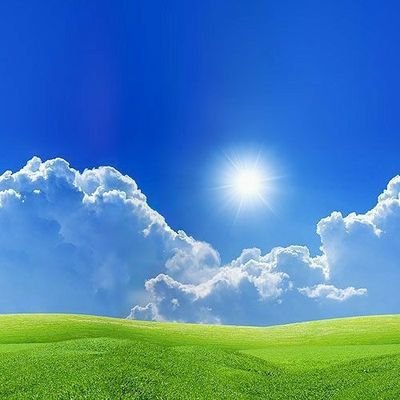 BondZabby's profile picture. Nature and life.
Freelance tiler