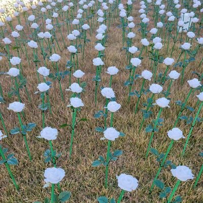 lunatic12543's profile picture. 주식 처음 해보는 스타터입니다...^^ 잘 부탁드려요