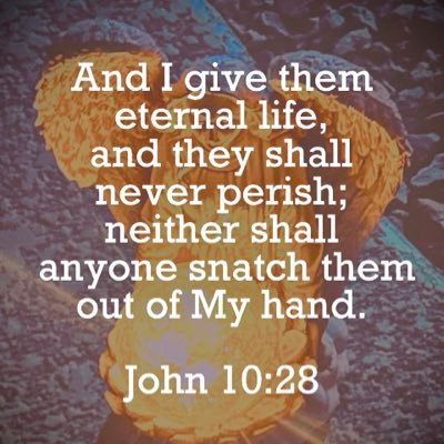 SvdByGrac3's profile picture. God 🛐 Family💕 Country 🦅 #2A 🇺🇸 pronoun: Your Royal Highness