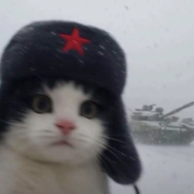 sailordelsubte's profile picture. .