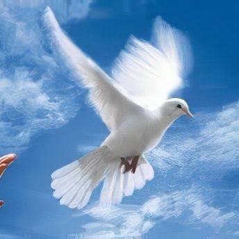 AnjolrasK22475's profile picture. 🇫🇷
🌟 ✝️✡️
🇫🇷🇫🇷🇫🇷🇫🇷🇫🇷🇫🇷🇫🇷