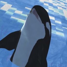 sulbum_03's profile picture. 📧conis0909@naver.com/리디 《폐하의 밤》 선화 담당/외주 예약 26년도부터