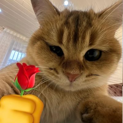 najmialmuhsi3's profile picture. 