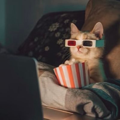 lucio_gjw's profile picture. In chaos, find your rhythm.