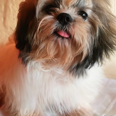 jnmlchssrt's profile picture. Makati City/♑/ Coffee / 29 / Priv: @Jnmlch