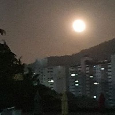 dal6449908's profile picture. 