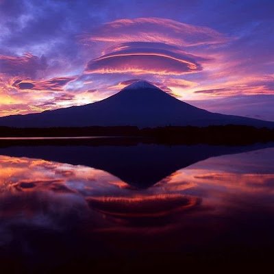 li_gusa90920's profile picture. 