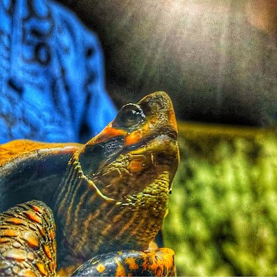 ck_sekhar99862's profile picture. 