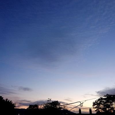 sangokusi00W0's profile picture. よろしくです。