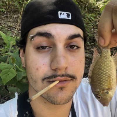 xanxyd's profile picture. usuário ilegal de erva medicinal