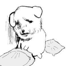 taelin502185169's profile picture. 