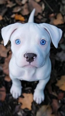 miah769000's profile picture. Much love friends and fans