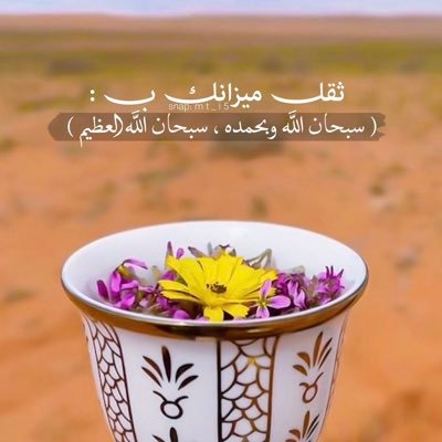al37373's profile picture. الحياة مليئة بالحجارة فلا تتعثر بها بل اجمعها وابن بها سلماً تصعد به نحو النجاح
