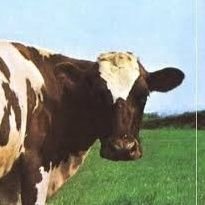 etnoceno's profile picture. antropología, etnografía, situación colonial, cuestión nacional, evolución, oficio de antropólogxs, ciencia pública,
memoria, maíz, lo público.

Antropo-fobia