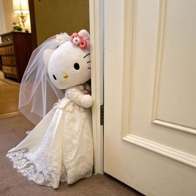 kittymeemoi's profile picture. .