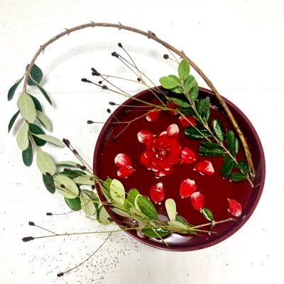 nyokkitter's profile picture. Give more than you get. ⋰ 🐟 美波 373 ⋰フットサル⚽️ ⋰華道🥀⋰社会人circle⋰kvi baba ⋰ファッション ⋰🐈