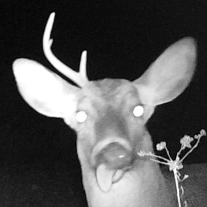 sbc0718's profile picture. Probably Spam