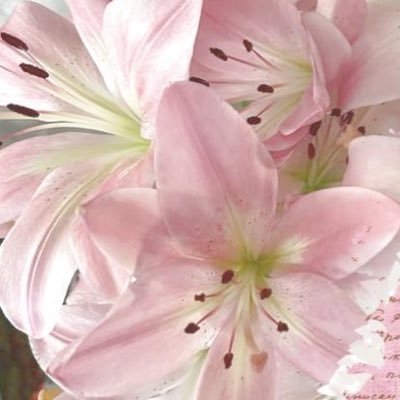 zynpbaldmr's profile picture. At least life has music.