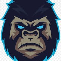 CaoTrungHairmwy's profile picture. ⚽ Người thích vận động, tinh thần kỷ luật và lối sống năng lượng.
🎧 Hay nghe EDM khi tập luyện để giữ mood tích cực.
🔥 Quan niệm “nỗ lực hôm nay là phong độ n