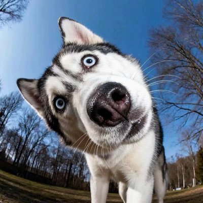 Mars933619's profile picture. 