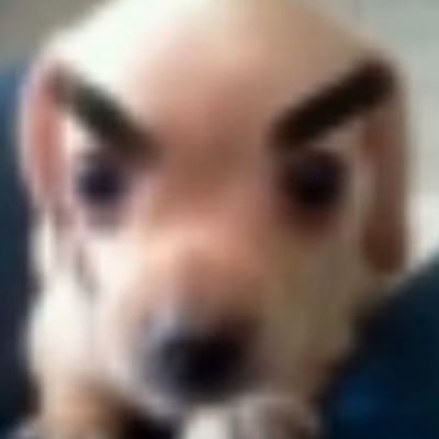 WuSencJwhp0Q2KY's profile picture. 