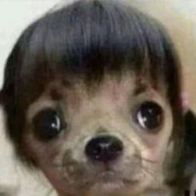 rossdventaja's profile picture. 