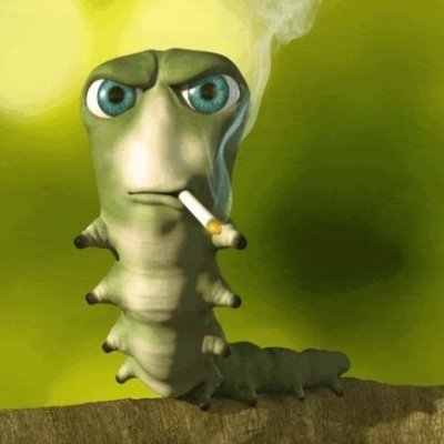 th3_rat_king_'s profile picture. i have done to much damage.
WWGY